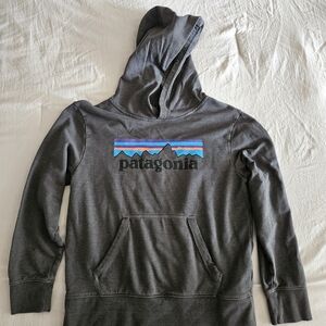 Patagonia Gray Hoodie with Multicolor Logo